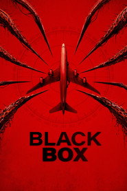 Black Box (Flight 298) (2026)