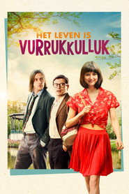 Life Is Wonderful (2018)