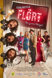Flirting with Danger (2015)