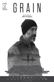 Buğday (2017)