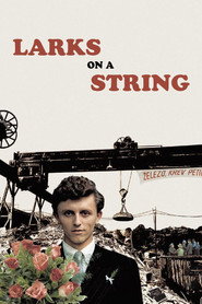 Larks on a String (1990)