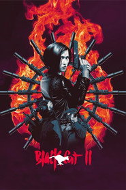 Black Cat II (1992)