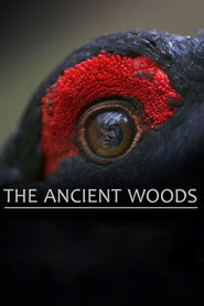 The Ancient Woods (2018)