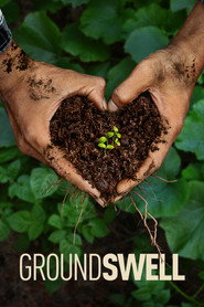 Groundswell (2026)