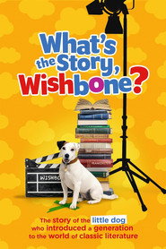 What’s the Story Wishbone? (2026)