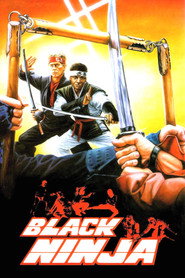 Ninja: Silent Assassin (1987)