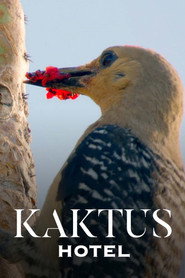 Kaktus Hotel (2023)
