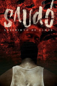 Saudo Labyrinth of Souls (2016)