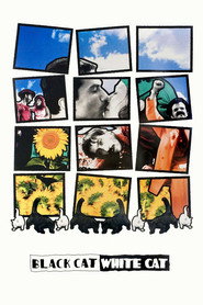 Black Cat White Cat (1998)