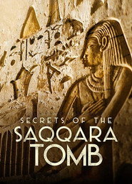 Secrets of the Saqqara Tomb (2020)