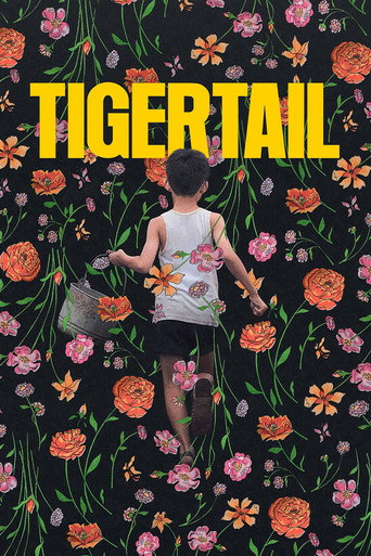 Tigertail (2020) poster - Find where to watch online