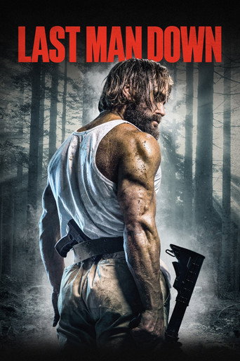 Last Man Down (2021) poster - Find where to watch online