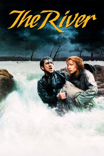 The River (1984) poster - Find where to watch online