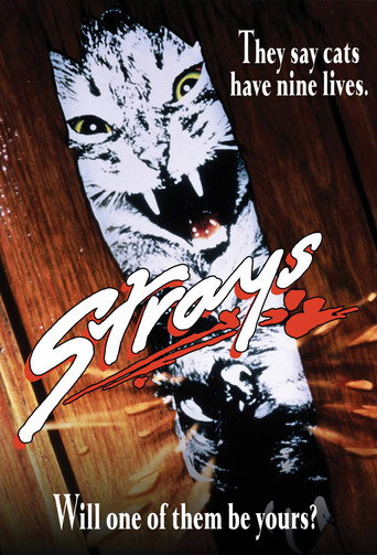Strays (1991) poster - Find where to watch online