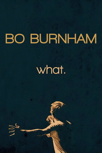 Bo Burnham: What. (2013) poster - Find where to watch online