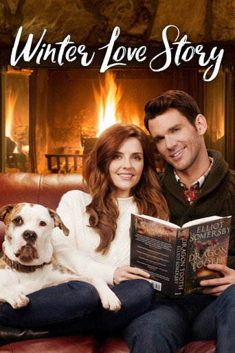 Winter Love Story (2019) poster - Find where to watch online