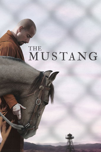 The Mustang (2019) poster - Find where to watch online