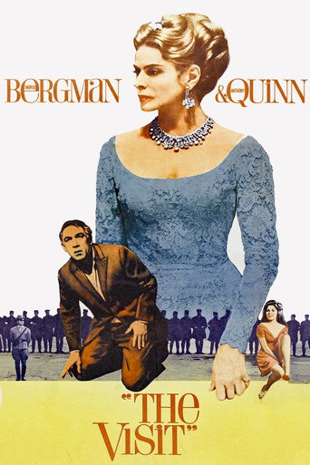 The Visit (1964) poster - Find where to watch online