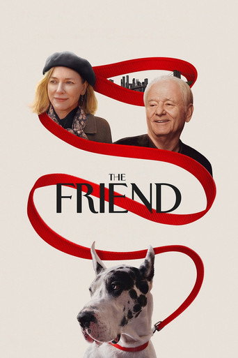 The Friend (2025) poster - Find where to watch online