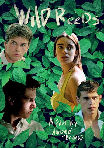 Wild Reeds (1994) poster - Find where to watch online
