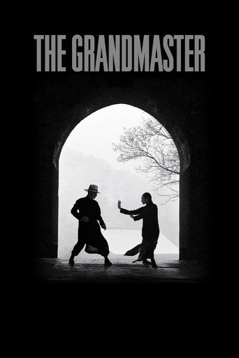 The Grandmaster (2013) poster - Find where to watch online