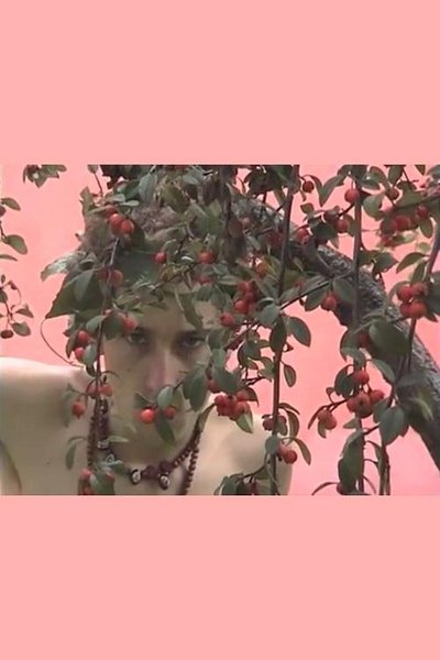 Watch!(2008) The Faery Garden Movie Online Torrent
