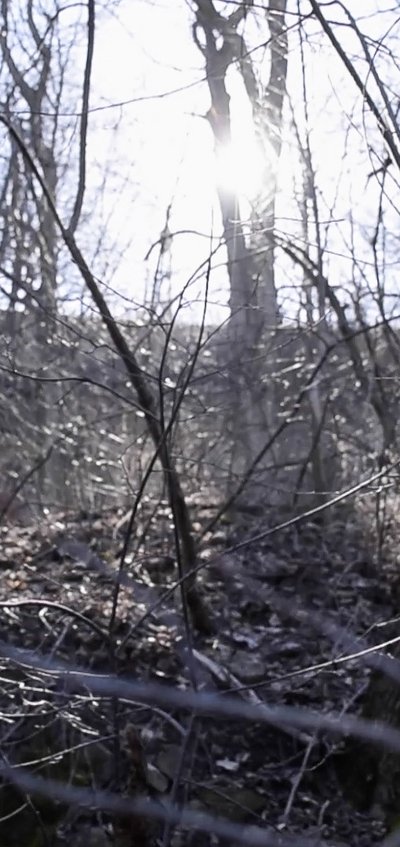Watch!Handsome Woodland Enchantment Of A Mindful Soothsayer Movie Online Putlocker