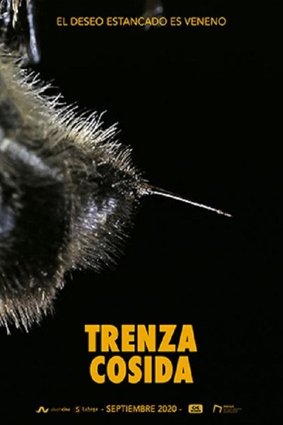 Watch!(2020) Trenza cosida Movie Online Putlocker