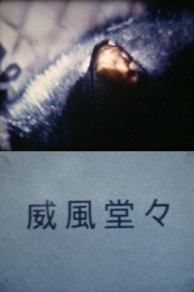 Watch!(1998) 威風堂々 Movie Online Free Torrent