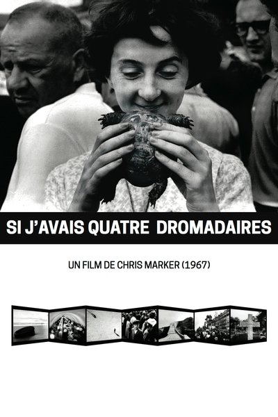 Watch!Si j'avais quatre dromadaires Movie Online Putlocker