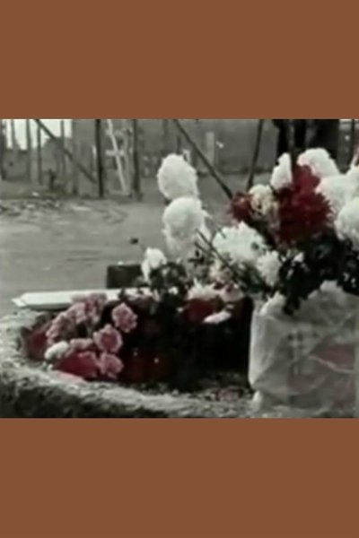 Watch - (2005) Così venne ucciso Pasolini Full Movie OnlinePutlockers-HD