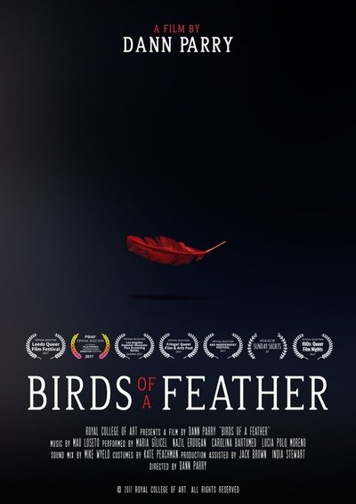 Watch Now!(2017) Birds of a Feather Full Movie Putlocker