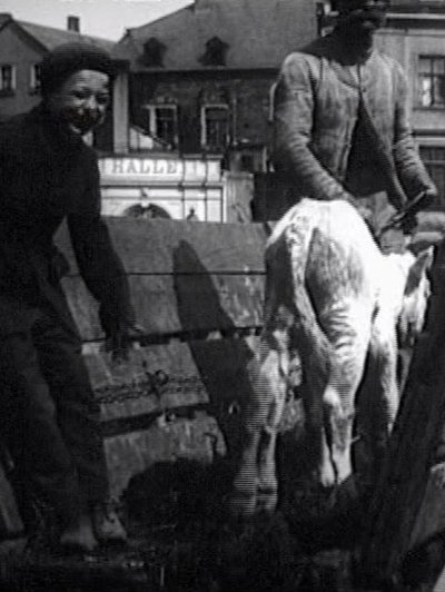 Watch Now!(1909) Leben und Treiben auf dem Viehmarkt Movie Online Free
