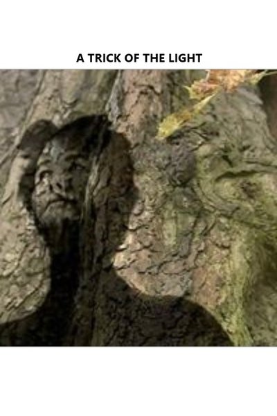Watch - A Trick of the Light Movie Online FreePutlockers-HD