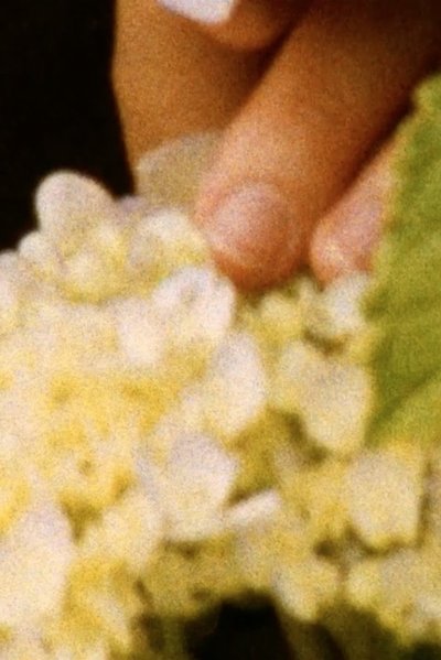 Watch!(2016) A toxa Movie Online