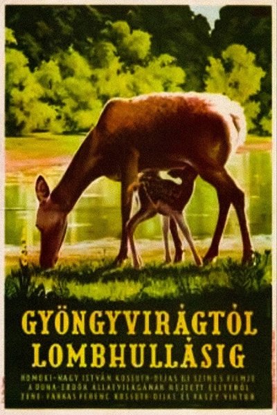 Watch - Gyöngyvirágtól lombhullásig Movie Online Free