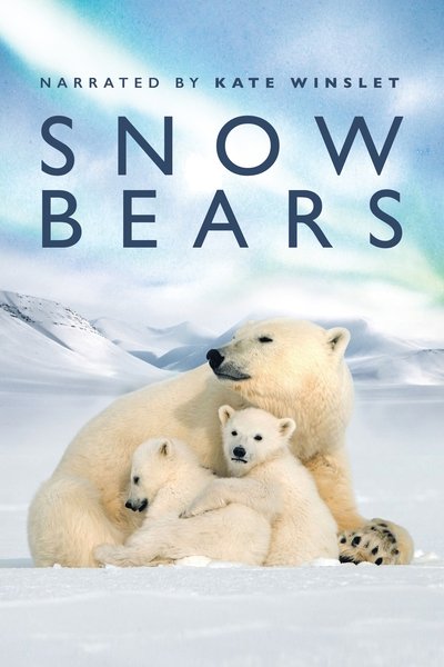Watch Now!(2017) Snow Bears Movie Online Free 123Movies