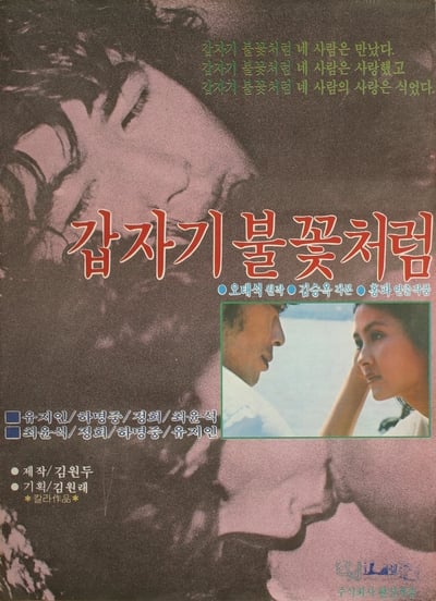 Watch Now!(1979) 갑자기 불꽃처럼 Movie OnlinePutlockers-HD