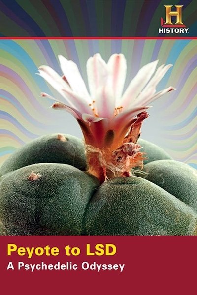 Watch - Peyote to LSD: A Psychedelic Odyssey Movie Online Free 123Movies