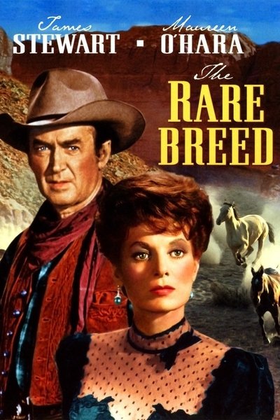 Watch - The Rare Breed Full Movie Torrent