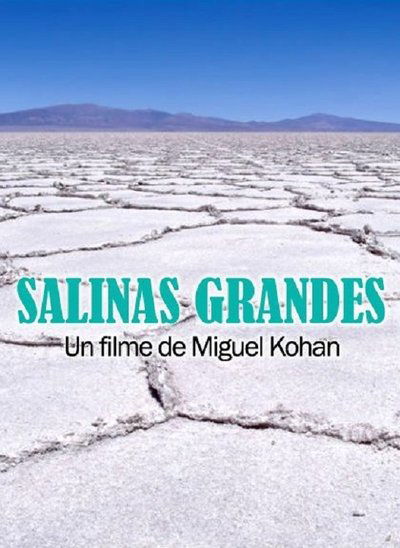 Watch!(2014) Salinas grandes Movie Online Free Putlocker