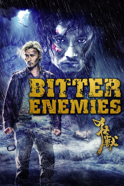 Poster von Bitter Enemies