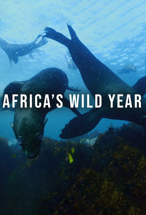 Africa’s Wild Year