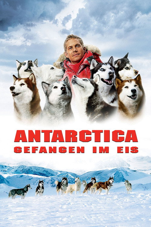 Poster von Antarctica - Gefangen im Eis