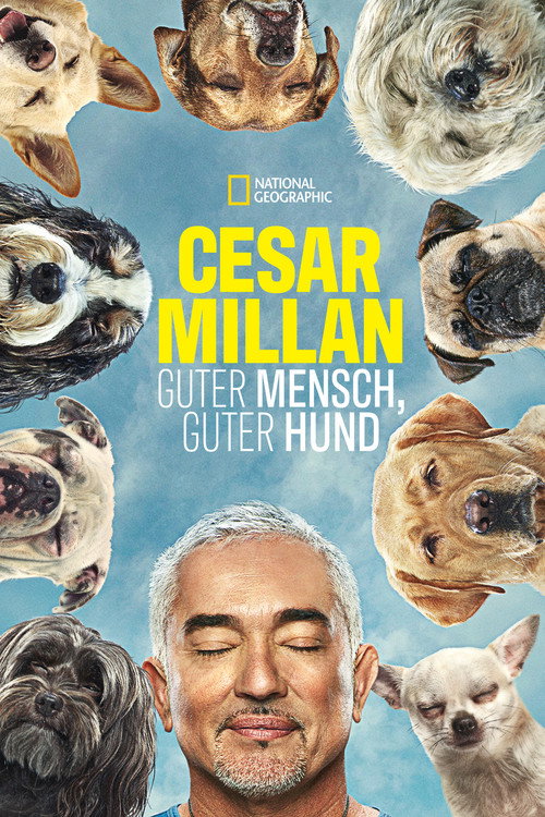 Poster von Cesar Millan: Guter Mensch guter Hund