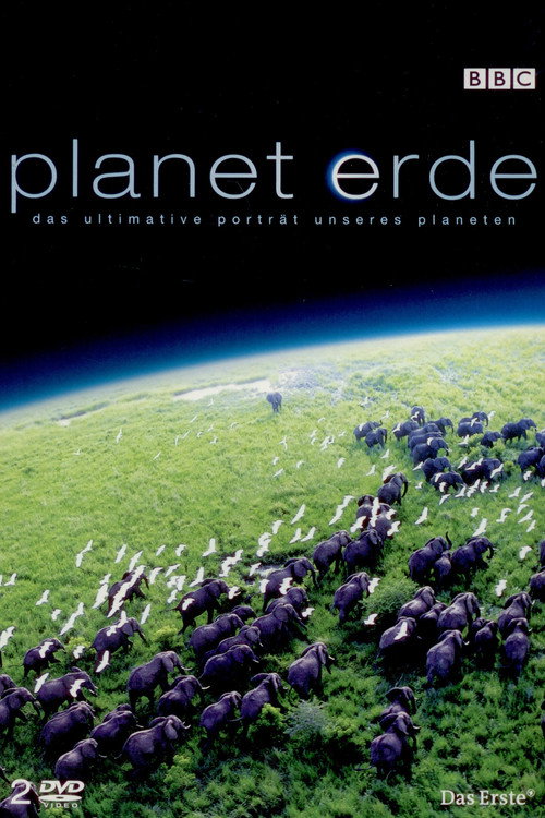 Poster von Planet Erde