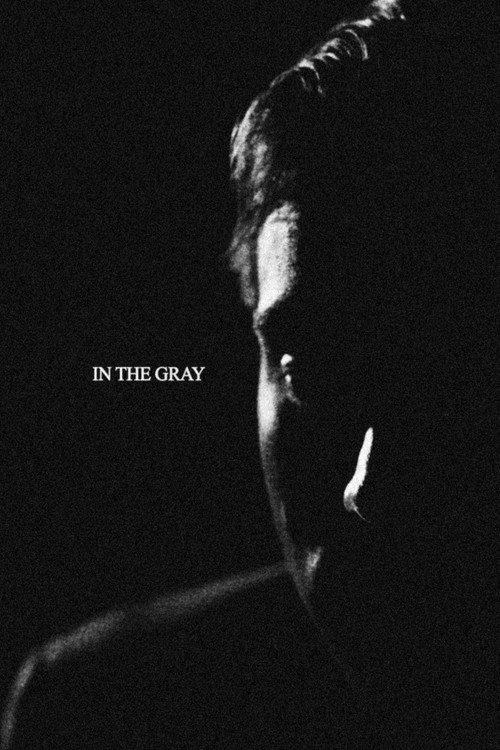 Poster for In the Gray
