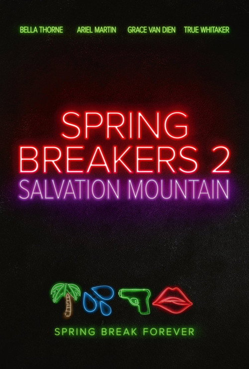 Poster for Spring Breakers: Salvation Mountain