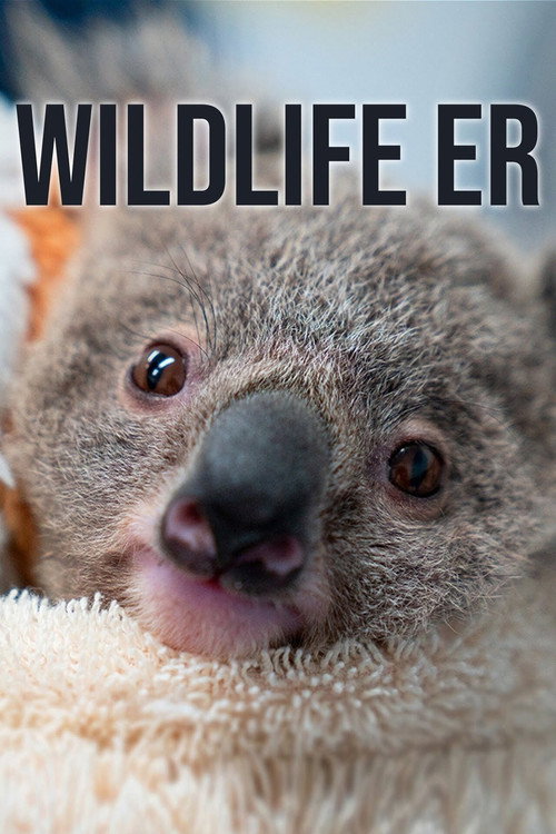 Poster von Wildtierrettung