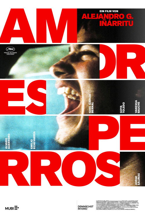 Poster von Amores perros